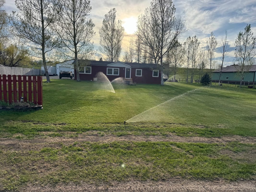 Sprinkler heads watering a large front lawn on a sunny evening