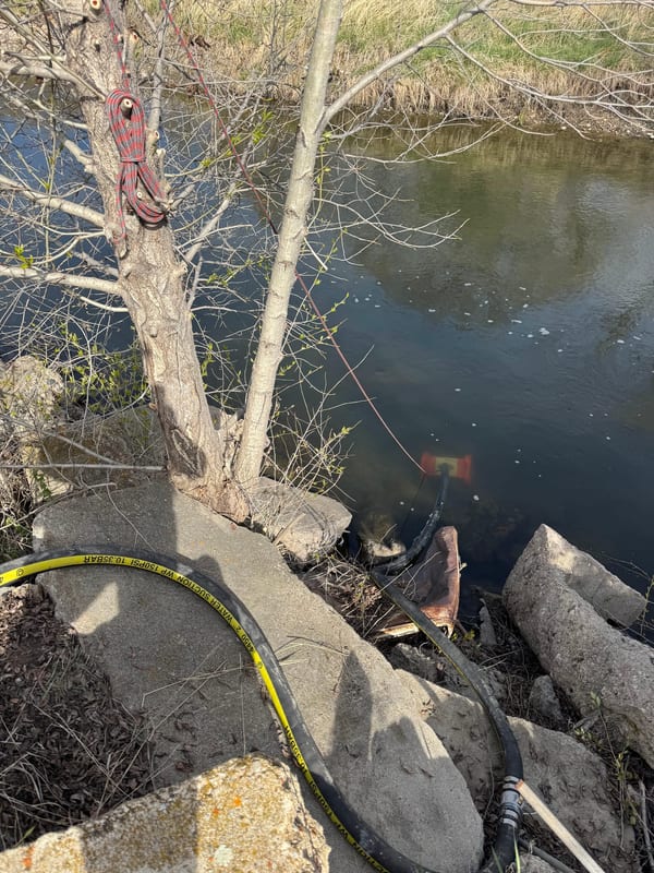 Suction hose running down the bank into a pond