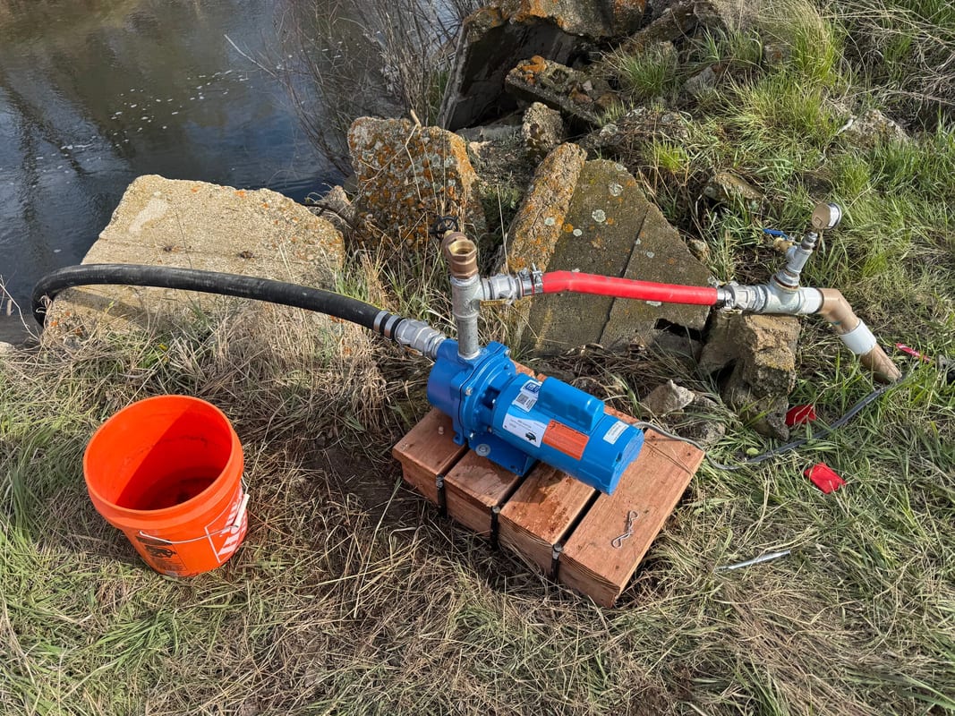Blue irrigation pump on a brick base beside a pond with suction and discharge lines