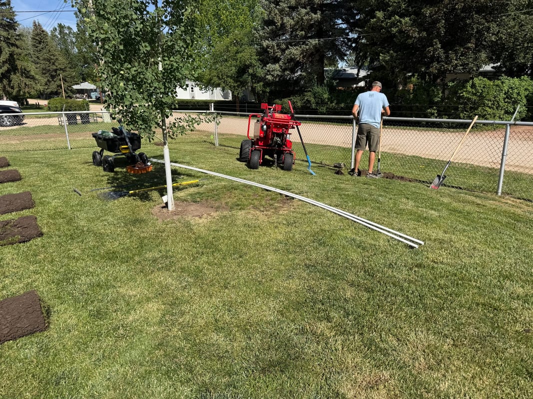 Pipe, trencher and cut sod in a back yard with a young tree