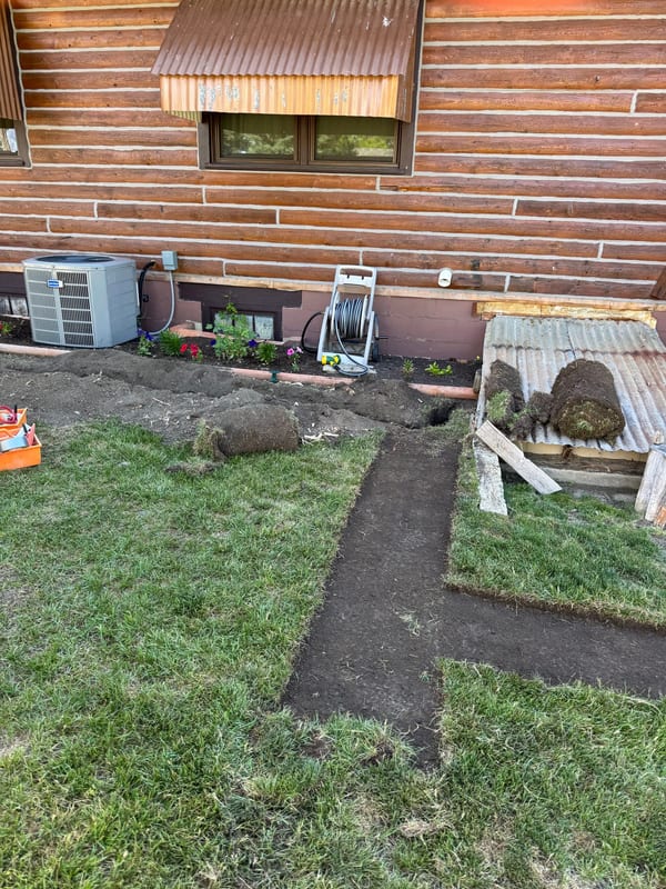 Trenches cut through a lawn up to the side of a log-sided house