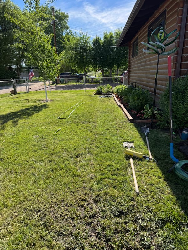 Side yard lawn restored after sprinkler trenching