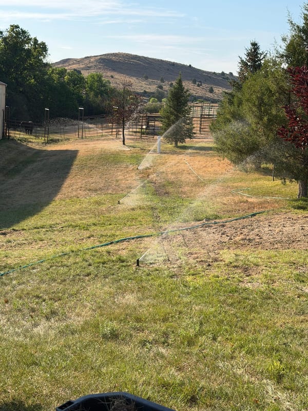 Sprinkler watering a large lawn on a rural property with hills behind