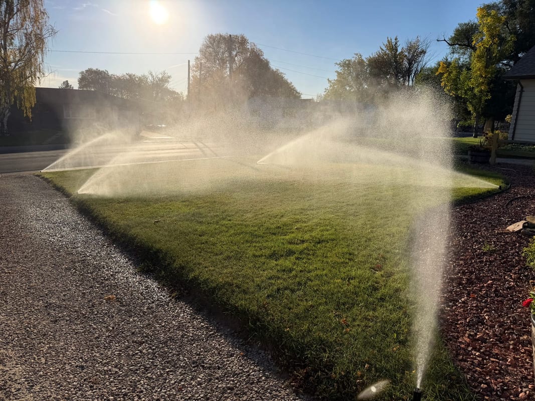 Sprinkler heads spraying across a front lawn beside a gravel bed